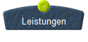  Leistungen 